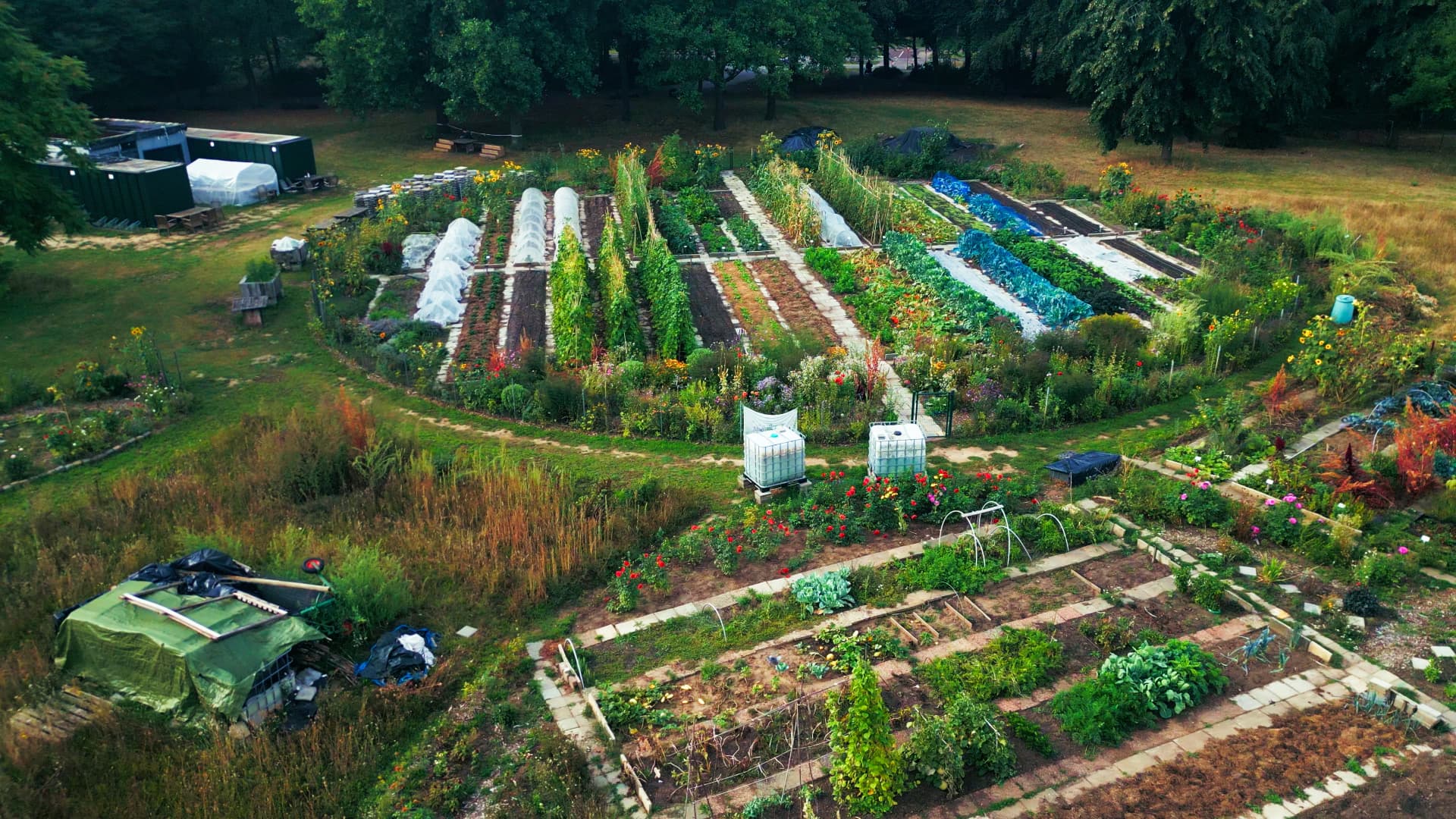 Overzicht van de Stadstuinderij van bovenaf, met rijen moestuinbedden en tunnelkassen